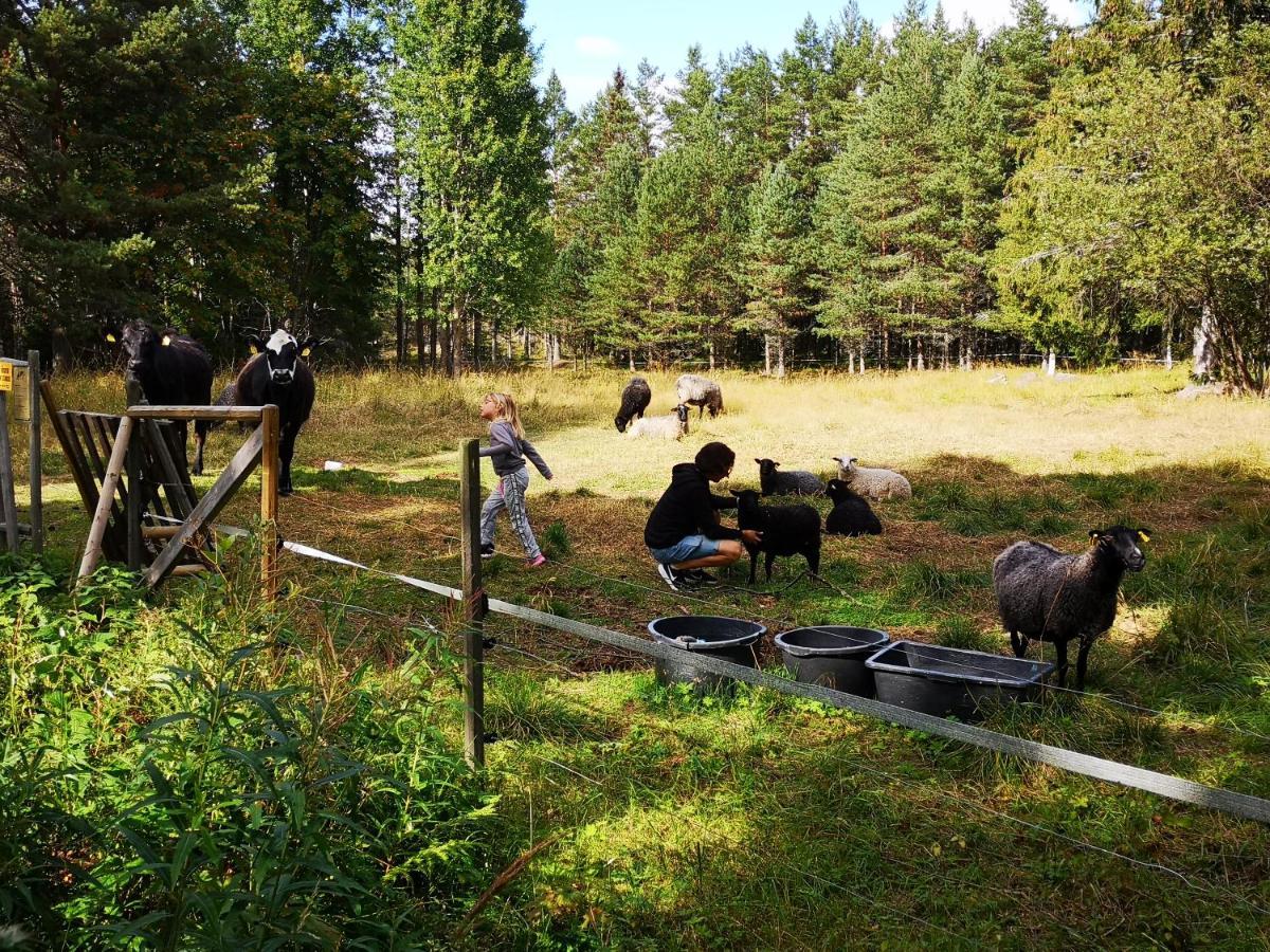 Trysunda Vandrarhem & Skaergardscafe Экстерьер фото
